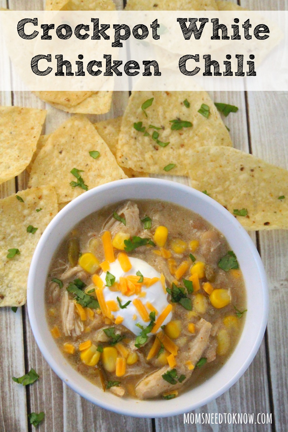 Chicken Chili Recipes
 white bean chicken chili recipe