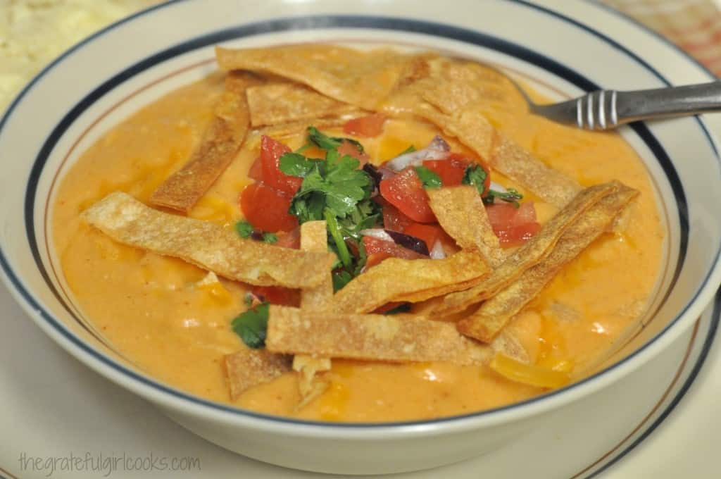 Chicken Chili Soup
 chili s chicken tortilla soup recipe