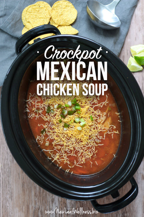 Chicken Noodle Soup Seasoning
 Crockpot Chicken Soup with Mexican Seasonings – New Leaf