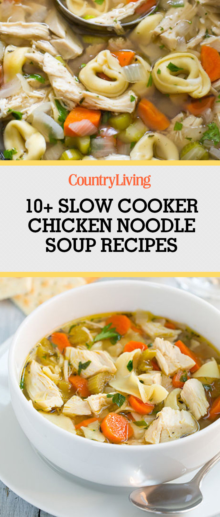 Chicken Noodle Soup Slow Cooker
 11 Easy Crock Pot Chicken Noodle Soup Recipes Best Slow