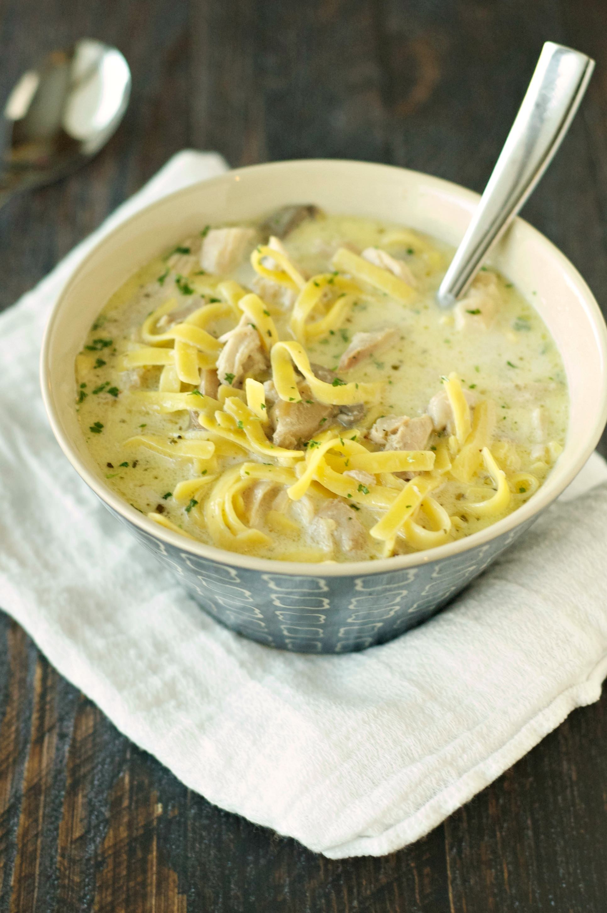 Chicken Noodles Recipe
 Slow Cooker Creamy Chicken Noodle Soup Slow Cooker Gourmet