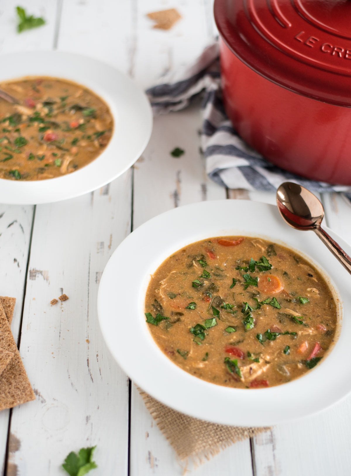 Chicken Paprikash Soup
 Chicken Paprikash Soup Feasting not Fasting