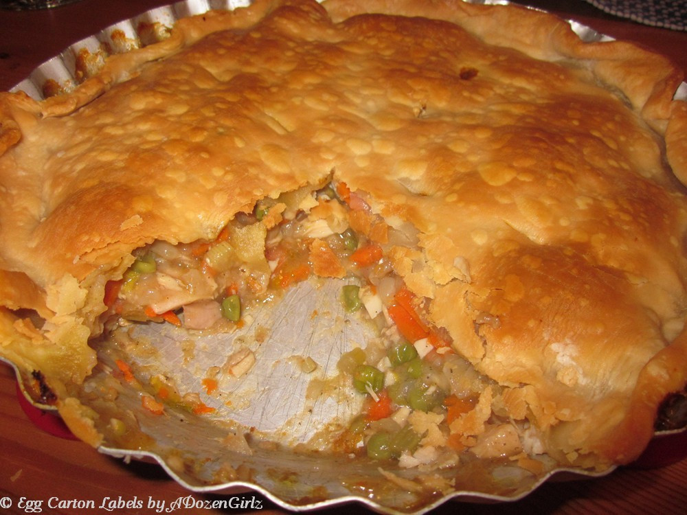 Chicken Pie Recipes
 Chicken Pot Pie Recipe and Frozen ion Cubes Cooking Tip