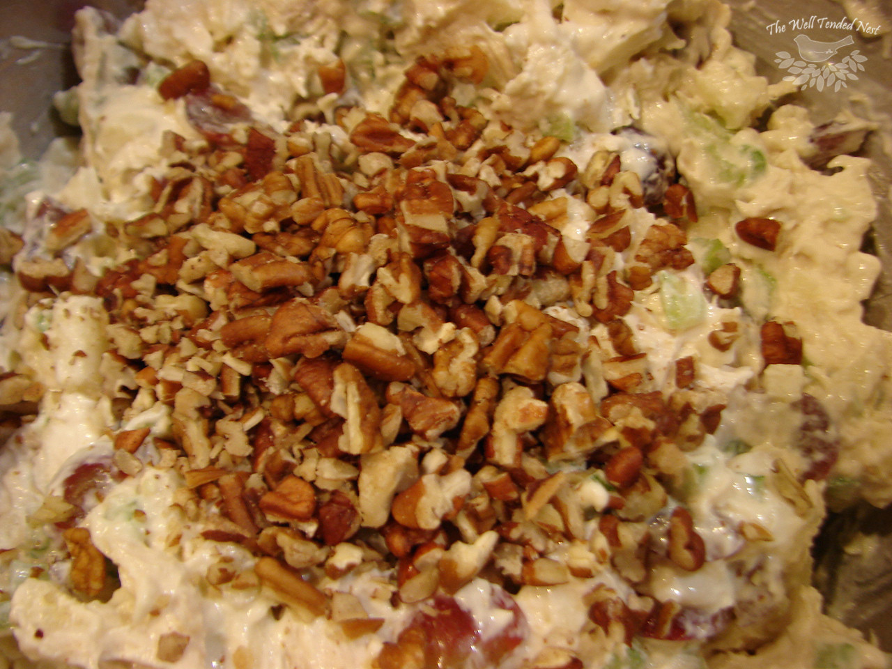 Chicken Salad Without Mayo
 how to make chicken salad DriverLayer Search Engine