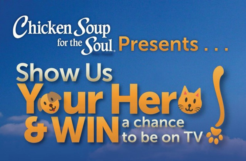 Chicken Soup For The Soul Submissions
 5 Ways I Show My Pets Love LoveYourPetEveryDay Miss