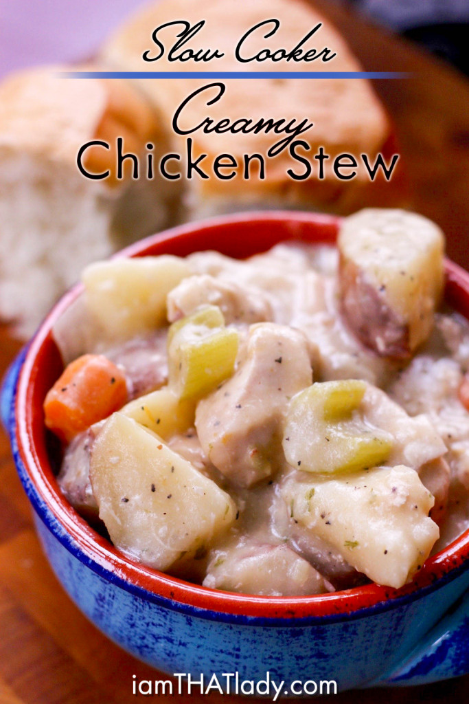 Chicken Stew Crock Pot Recipe
 Slow Cooker Creamy Chicken Stew Lauren Greutman