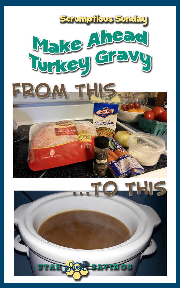 Chicken Stock Gravy
 turkey gravy with chicken broth