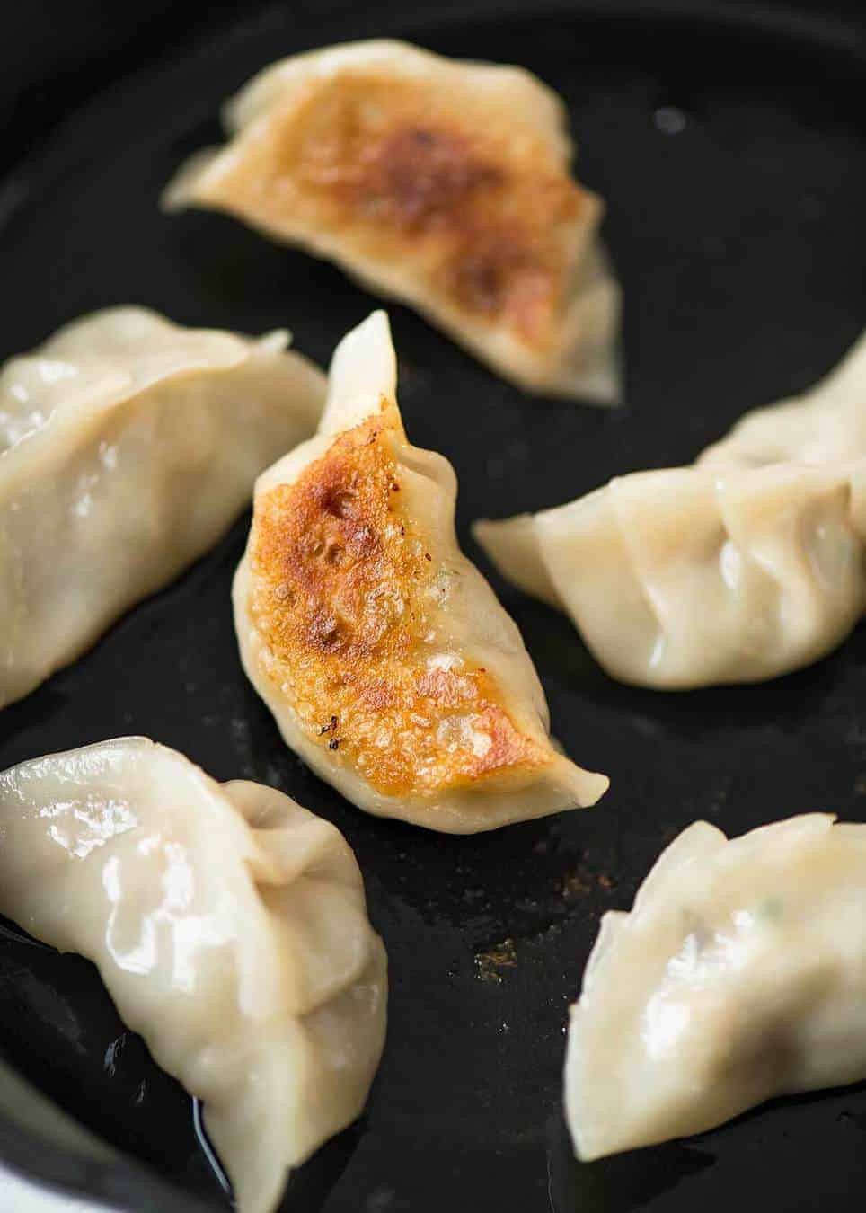 Chinese Fried Dumplings
 Potstickers Chinese Pan Fried Dumplings