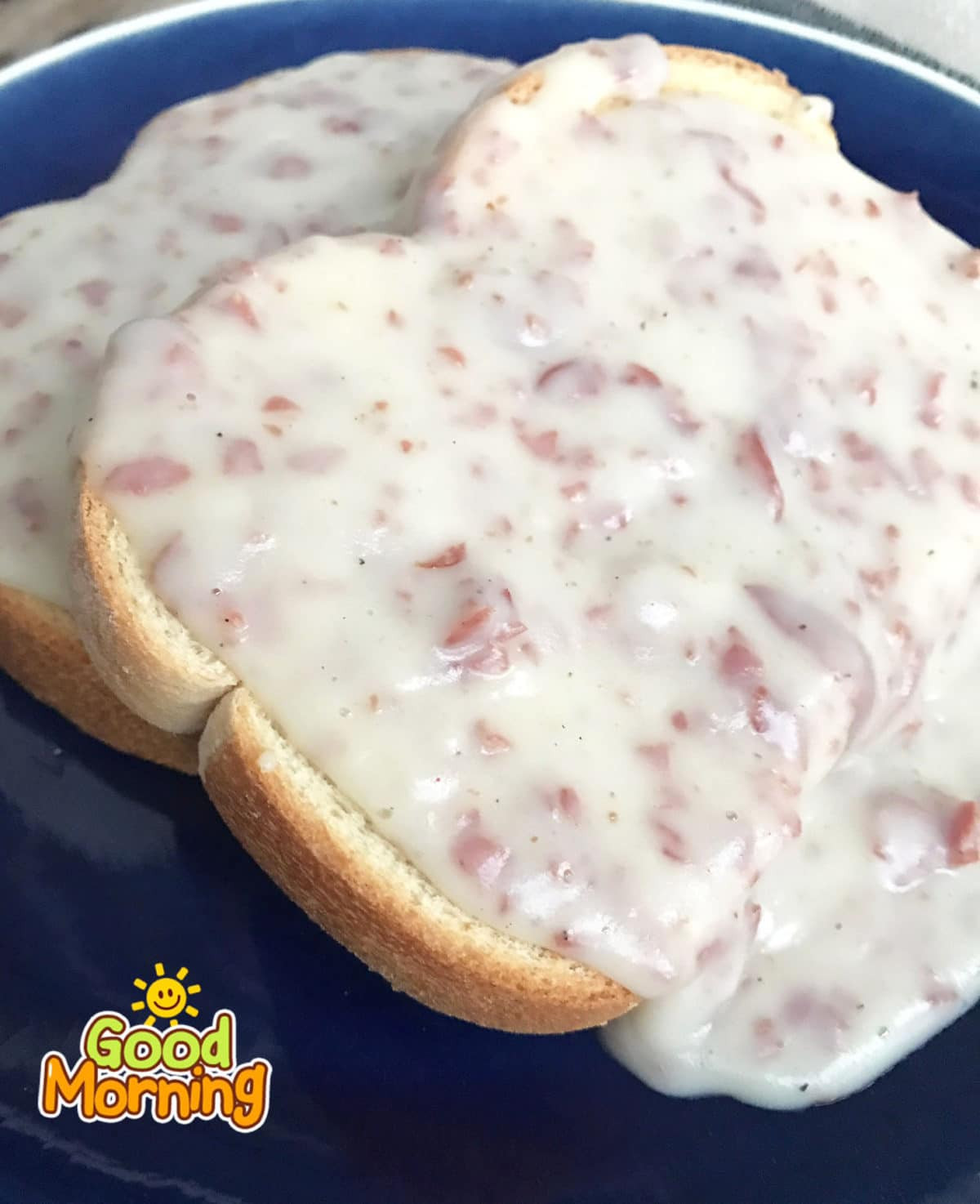 Chipped Beef Gravy
 Chipped Beef Gravy Soulfully Made