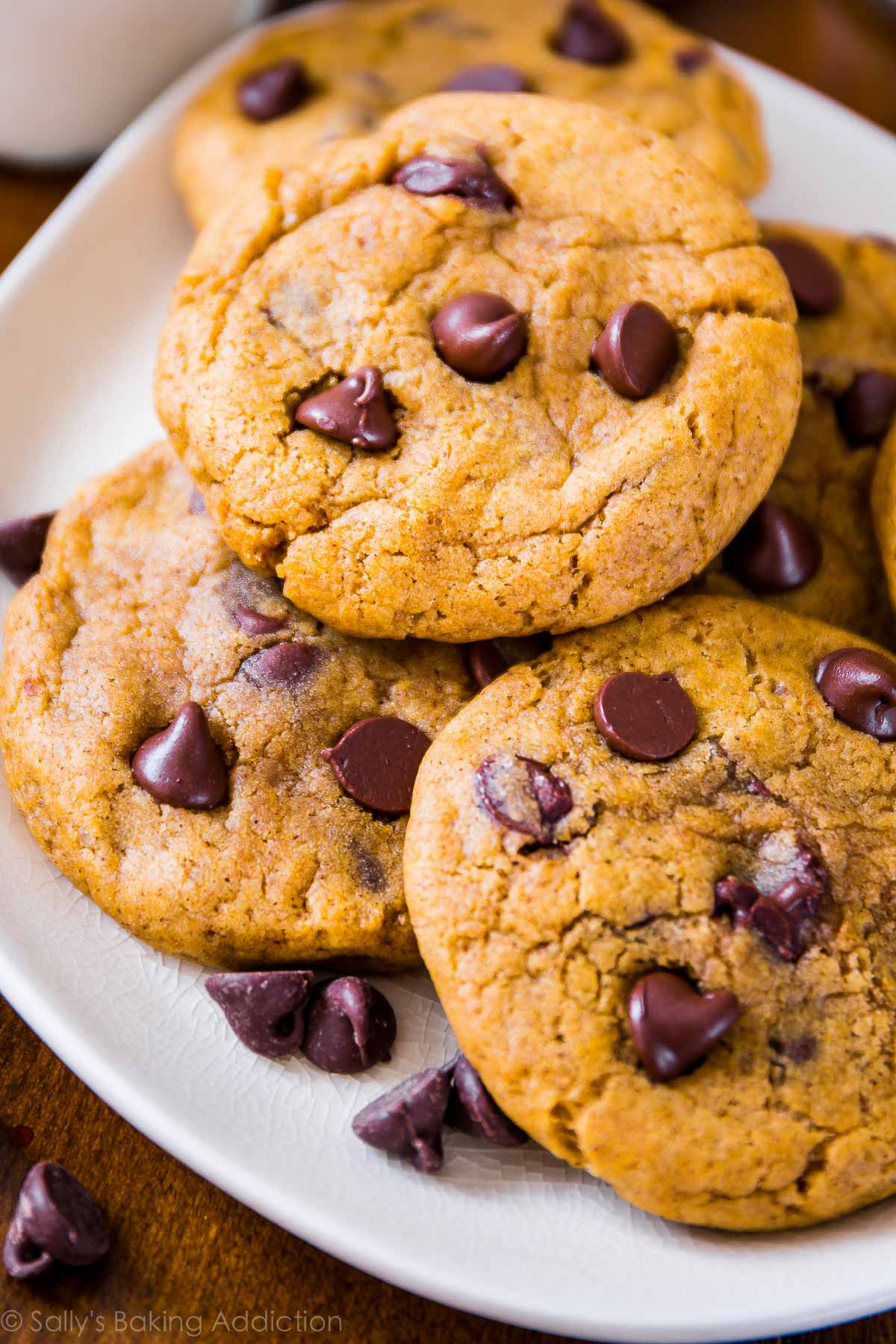 Chocolate Chip Cookies Allrecipes
 Pumpkin Chocolate Chip Cookies Sallys Baking Addiction