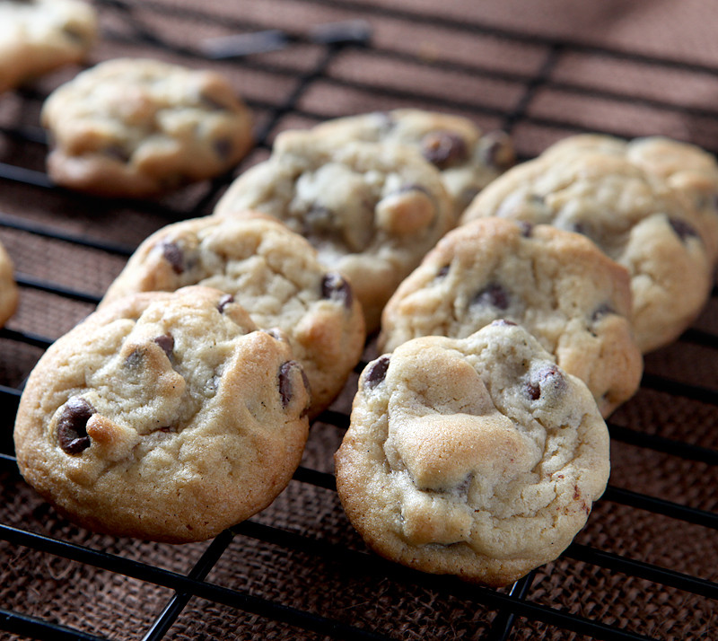 Chocolate Chip Cookies With Pudding
 Chocolate Chip Pudding Cookies