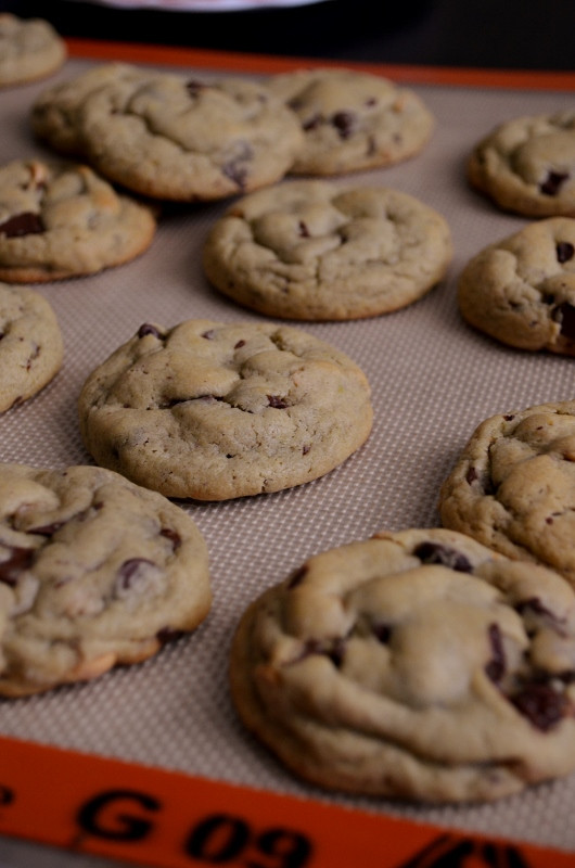 Chocolate Chip Cookies With Pudding
 For the Love of Dessert Chocolate Chip Pudding Cookies