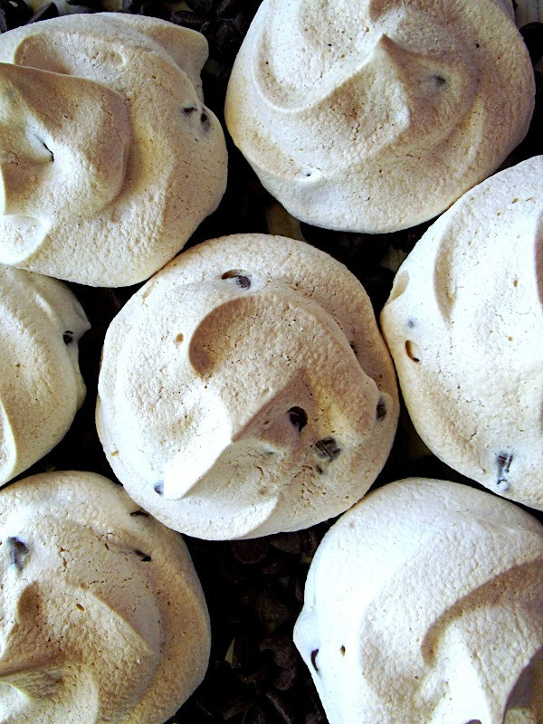 Chocolate Chip Meringue Cookies
 Chocolate Chip Meringue Cookies