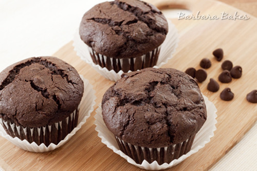 Chocolate Chip Muffins Recipe
 Whole Wheat Chocolate Chocolate Chip Muffins