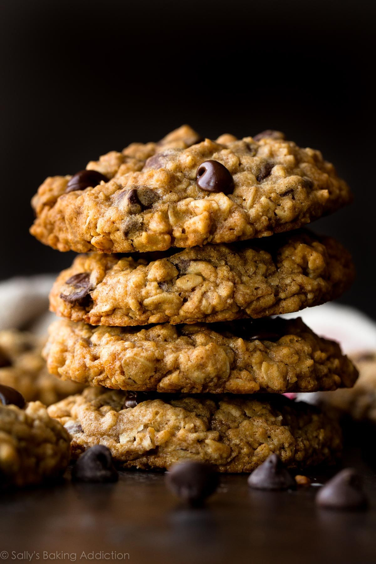 Chocolate Chip Oatmeal Cookies
 Soft & Chewy Oatmeal Chocolate Chip Cookies Sallys