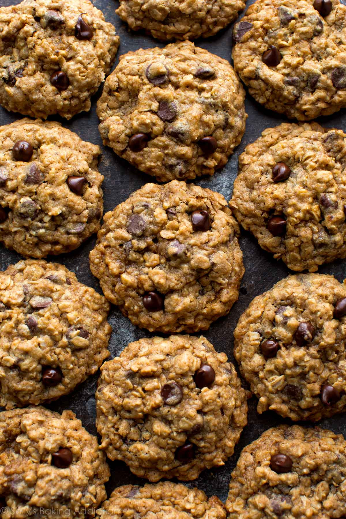 Chocolate Chip Oatmeal Cookies
 Soft & Chewy Oatmeal Chocolate Chip Cookies