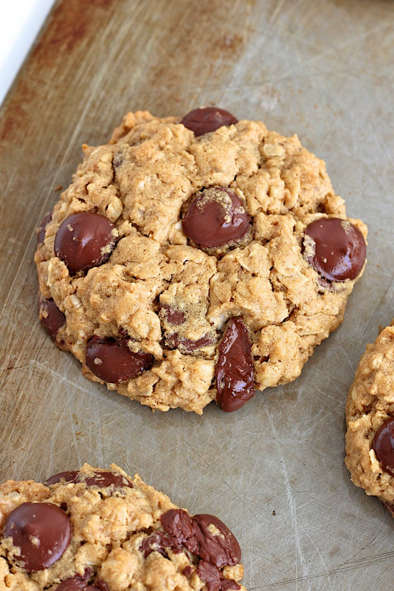 Chocolate Chip Oatmeal Cookies
 Flourless Oatmeal Chocolate Chip Cookies