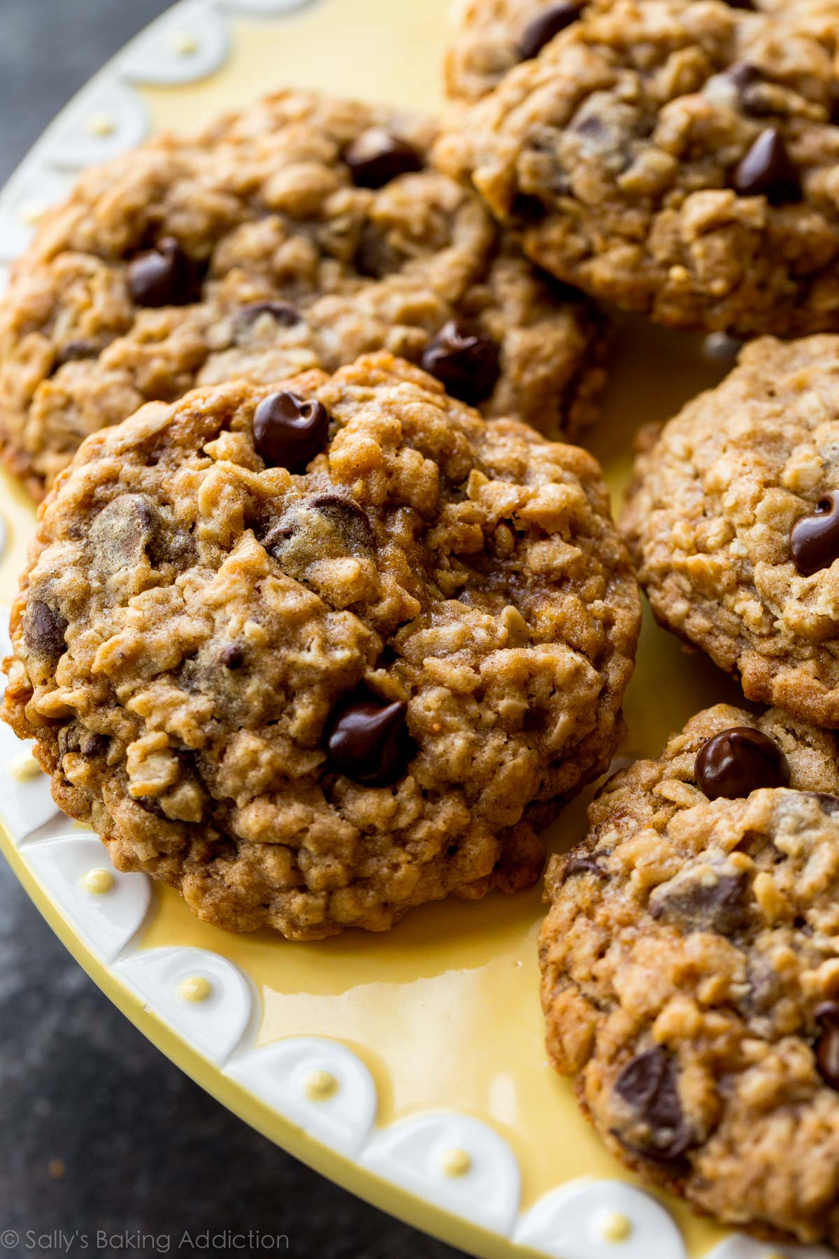 Chocolate Chip Oatmeal Cookies
 Soft & Chewy Oatmeal Chocolate Chip Cookies