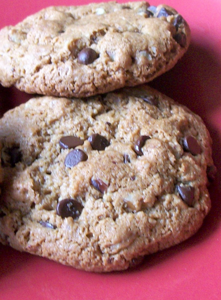 Chocolate Chip Pecan Cookies
 Chocolate Chip Pecan Cookies Grain and Dairy Free