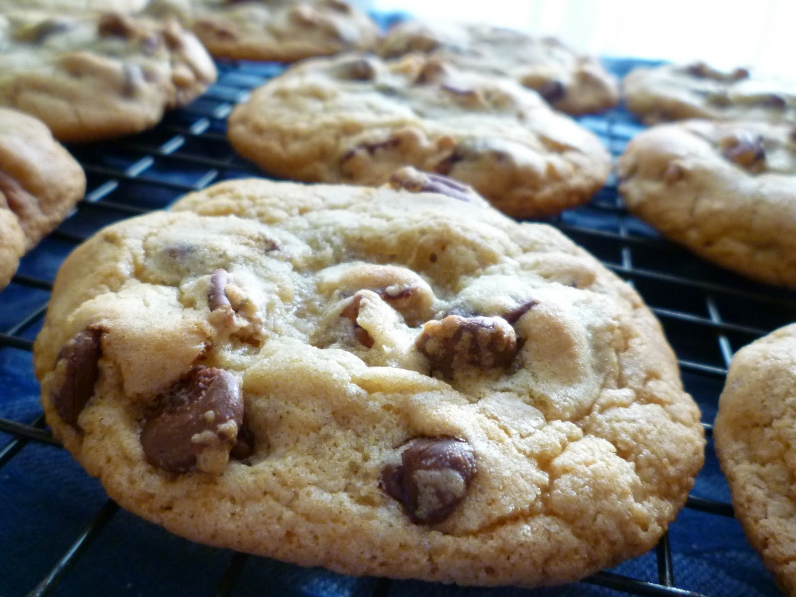 Chocolate Chip Pecan Cookies
 What s Baking in the Barbershop Chocolate Chip Pecan