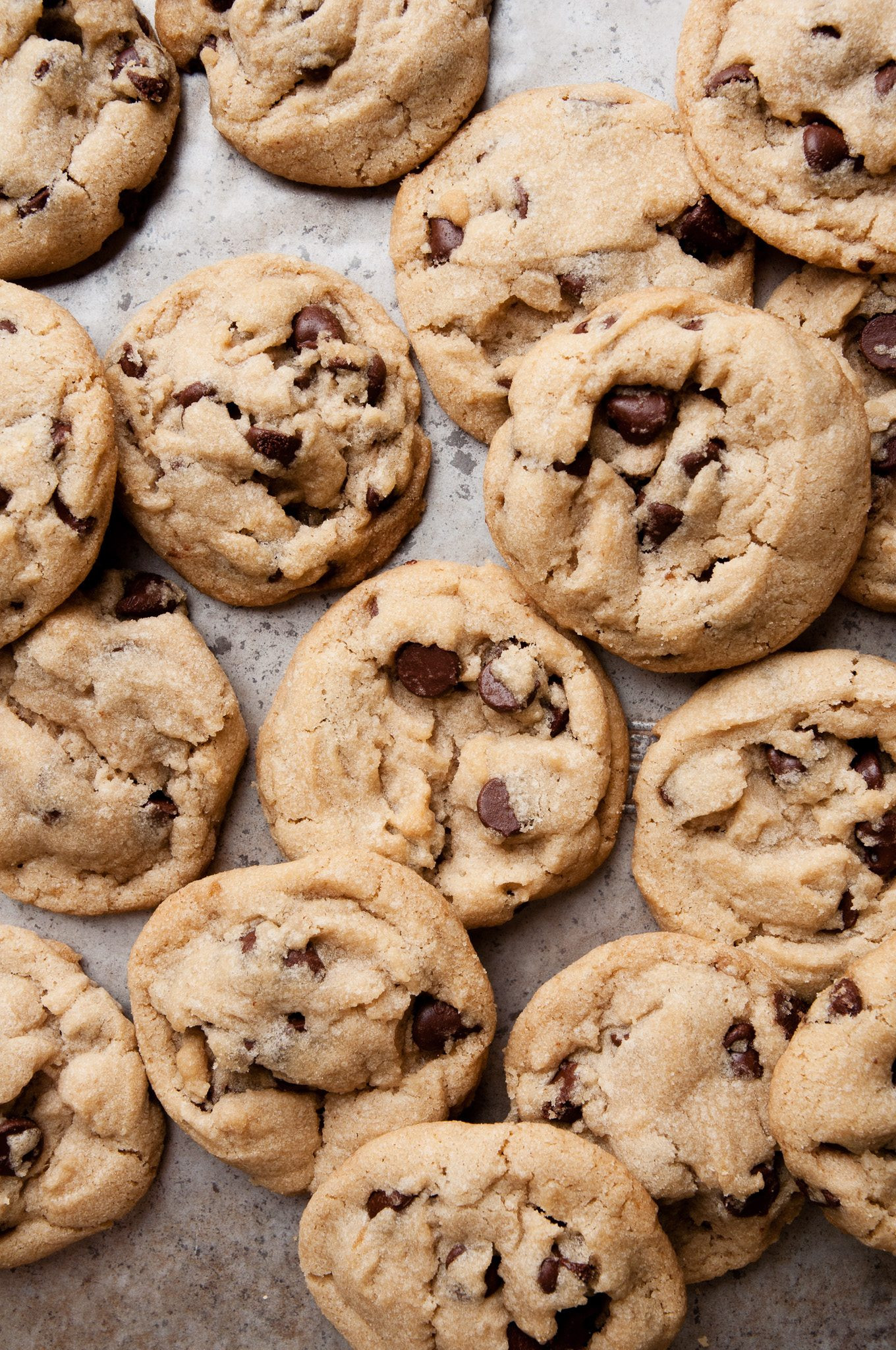 Chocolate Chocolate Chip Cookies
 15 of the Best Chocolate Chip Cookie Recipes The
