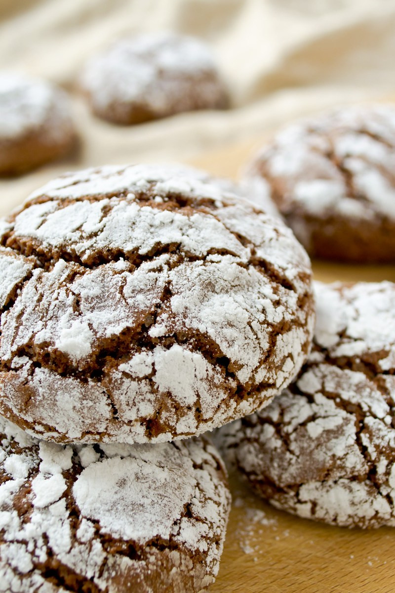 Chocolate Cookie Recipe Cocoa Powder
 chocolate crinkle cookies cocoa powder