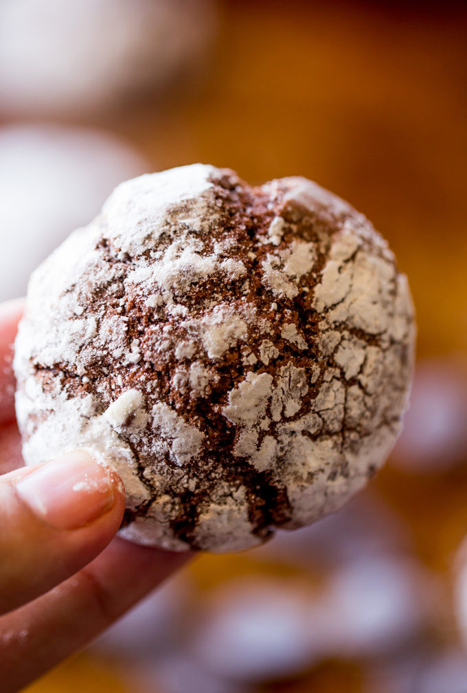 Chocolate Cookie Recipe Cocoa Powder
 chocolate crinkle cookies cocoa powder