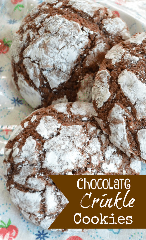 Chocolate Cookie Recipe Cocoa Powder
 chocolate crinkle cookies cocoa powder