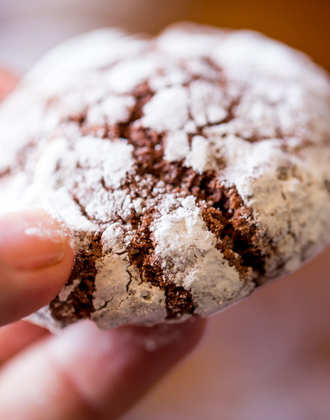 Chocolate Cookie Recipe Cocoa Powder
 chocolate crinkle cookies cocoa powder