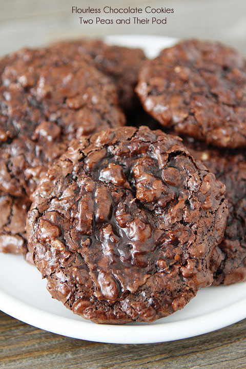 Chocolate Cookie Recipe Cocoa Powder
 chocolate cookies with cocoa powder no eggs
