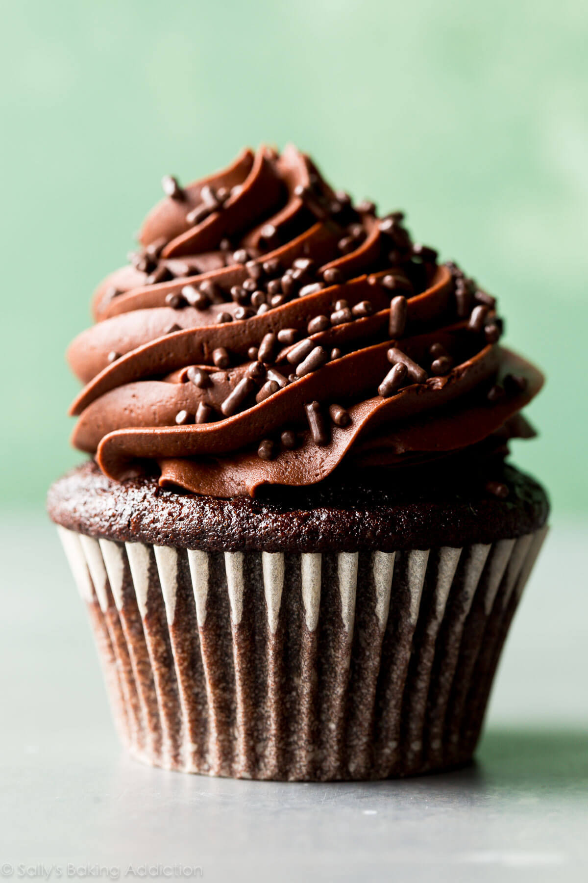 Chocolate Cupcakes Recipe
 Classic Chocolate Cupcakes with Vanilla Frosting Sallys