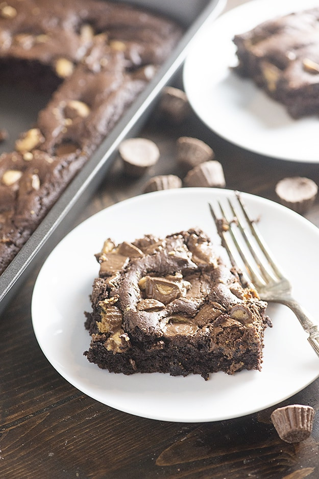 Chocolate Dump Cake
 Chocolate Peanut Butter Pudding Cake — Buns In My Oven