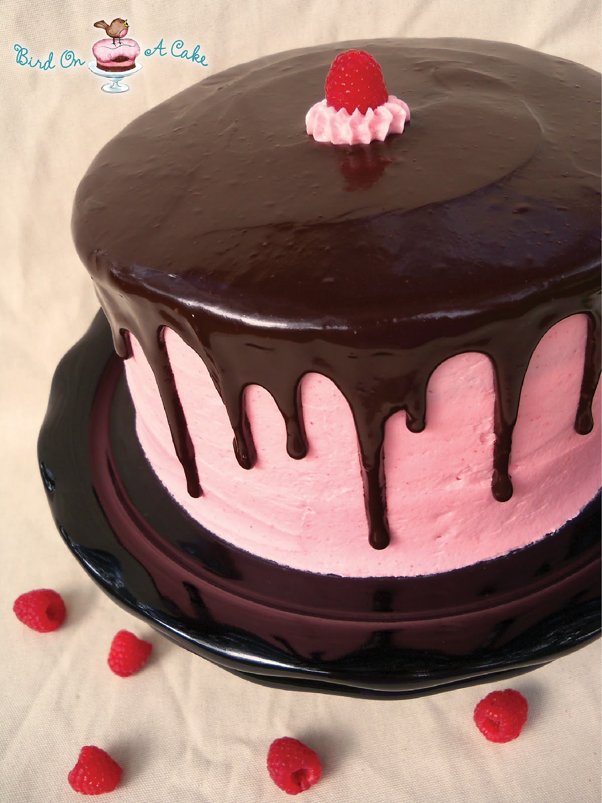 Chocolate Ganache Cake
 Bird A Cake Raspberry Cake with Dark Chocolate Ganache