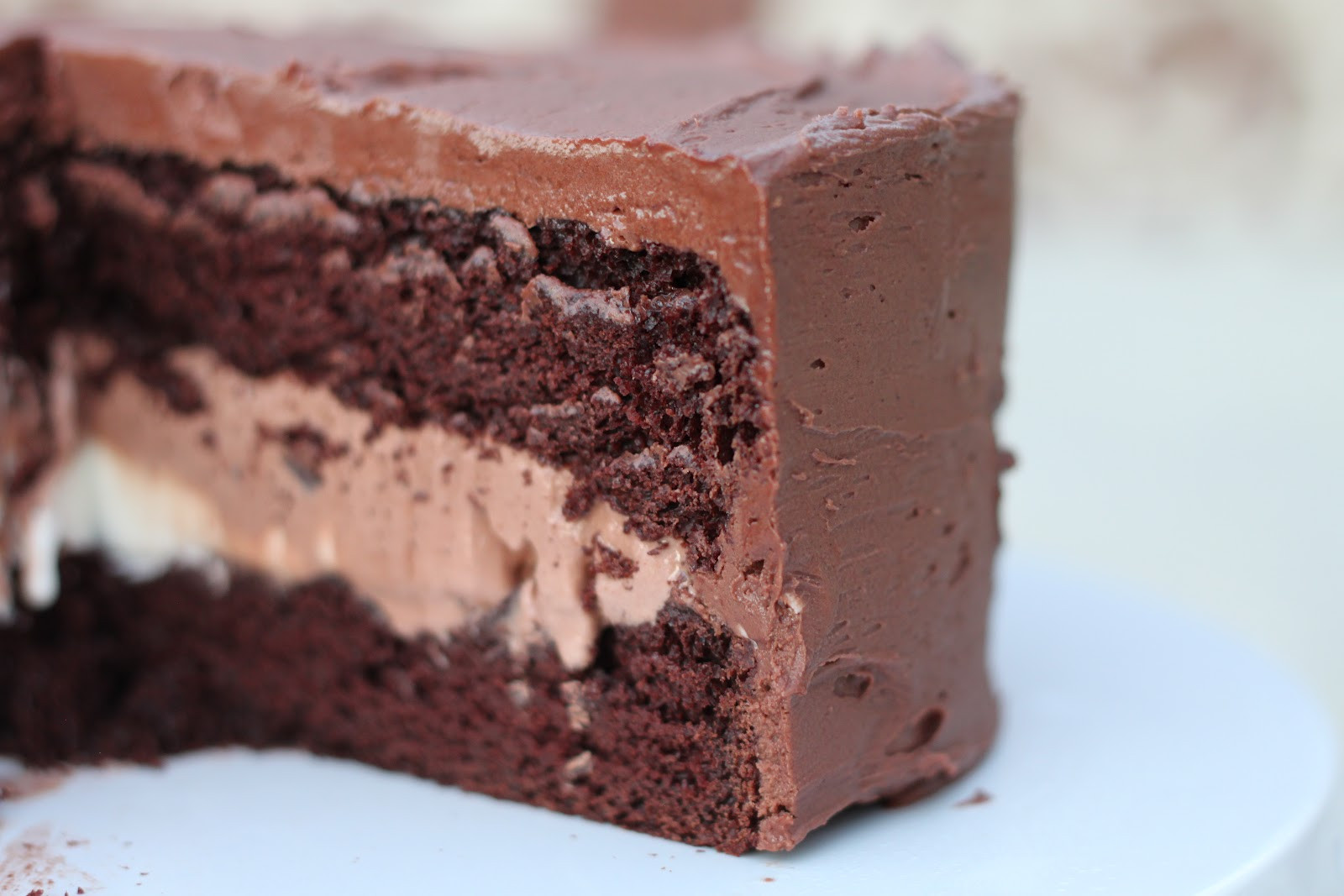 Chocolate Ice Cream Cake
 A Bountiful Kitchen Triple Chocolate Ice Cream Cake