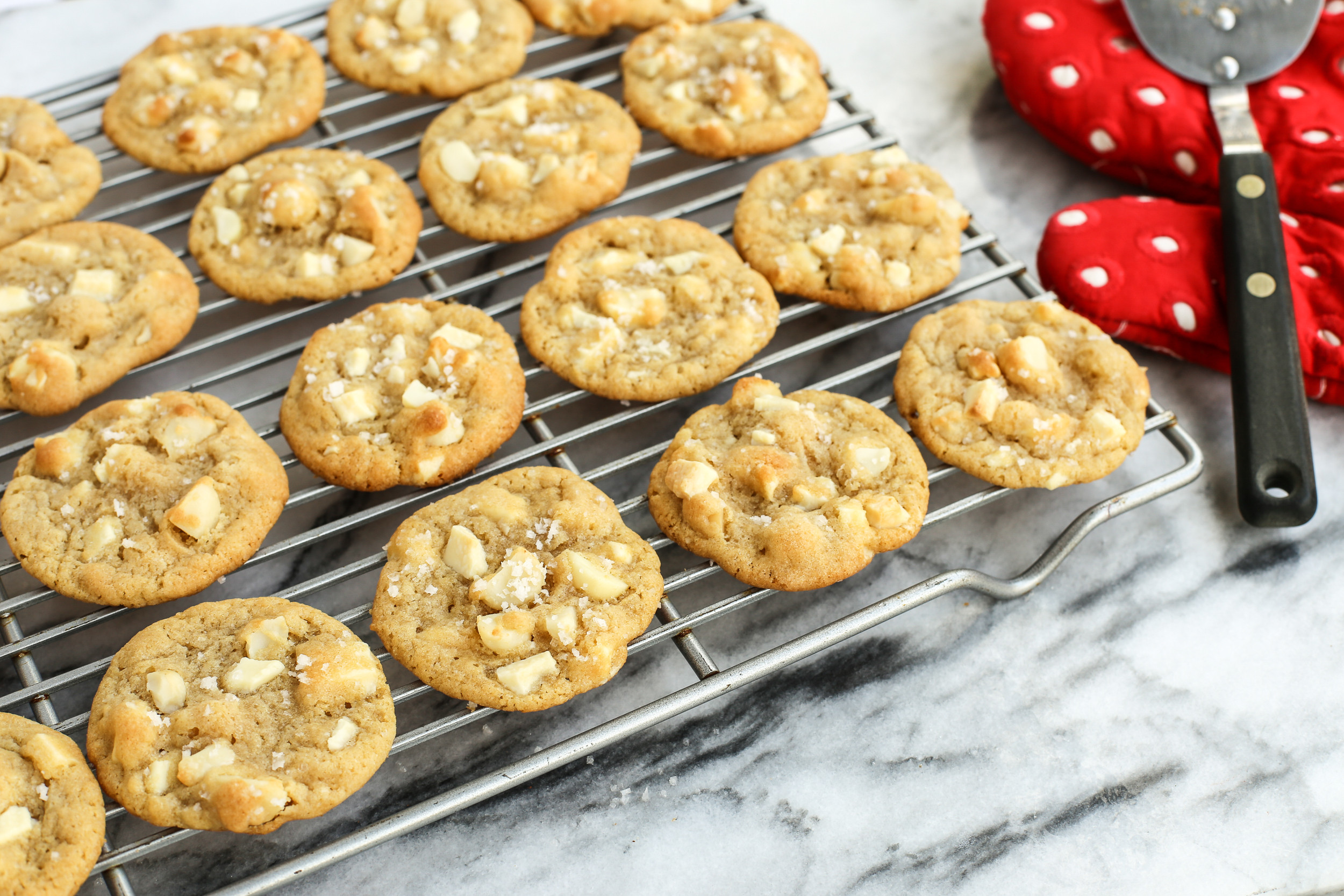 Chocolate Macadamia Nut Cookies
 white chocolate chip macadamia nut cookies