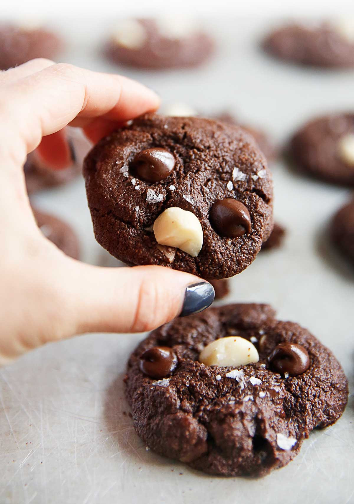 Chocolate Macadamia Nut Cookies
 Double Chocolate Chunk Macadamia Nut Cookies Lexi s