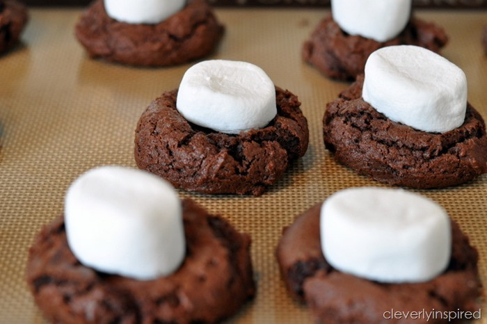 Chocolate Marshmallow Cookies
 Double Chocolate Marshmallow Cookie recipe