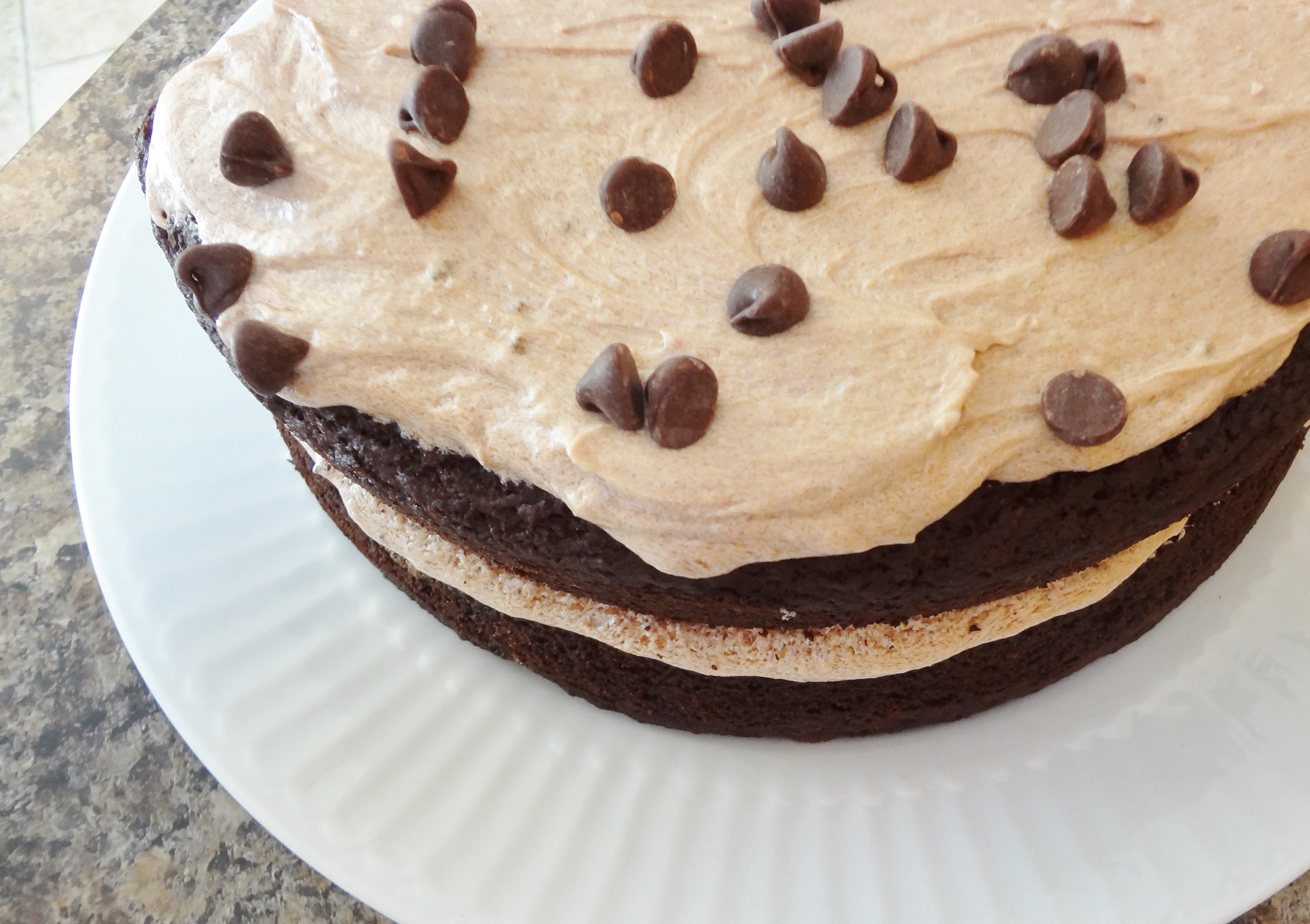 Chocolate Mocha Cake
 Gluten Free Mocha Chocolate Cake with Mocha Frosting • The