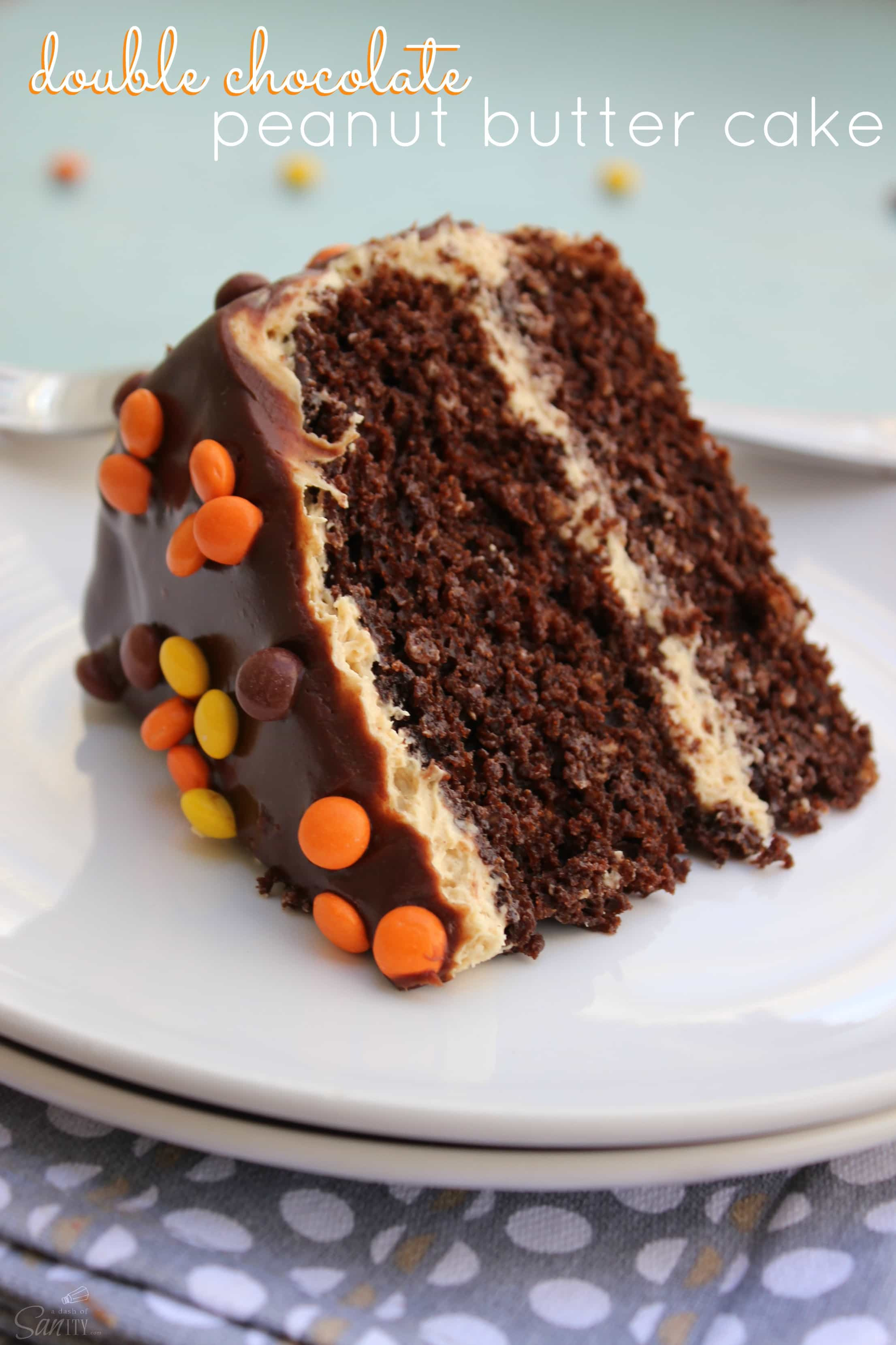 Chocolate Peanut Butter Cake Recipe
 Double Chocolate Peanut Butter Cake