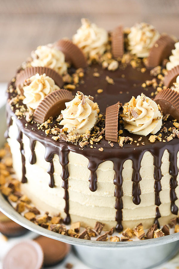 Chocolate Peanut Butter Cake Recipe
 Peanut Butter Chocolate Layer Cake Life Love and Sugar