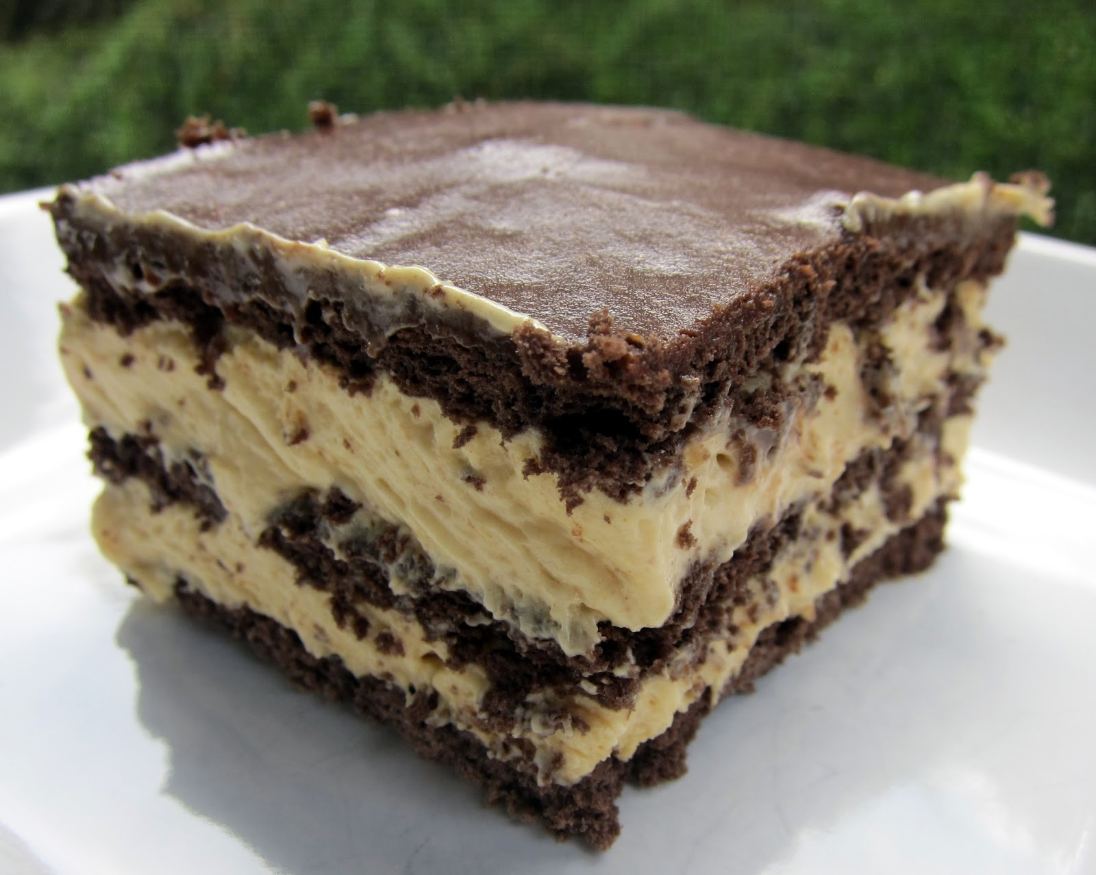 Chocolate Peanut Butter Dessert Recipe
 Peanut Butter Eclair Cake