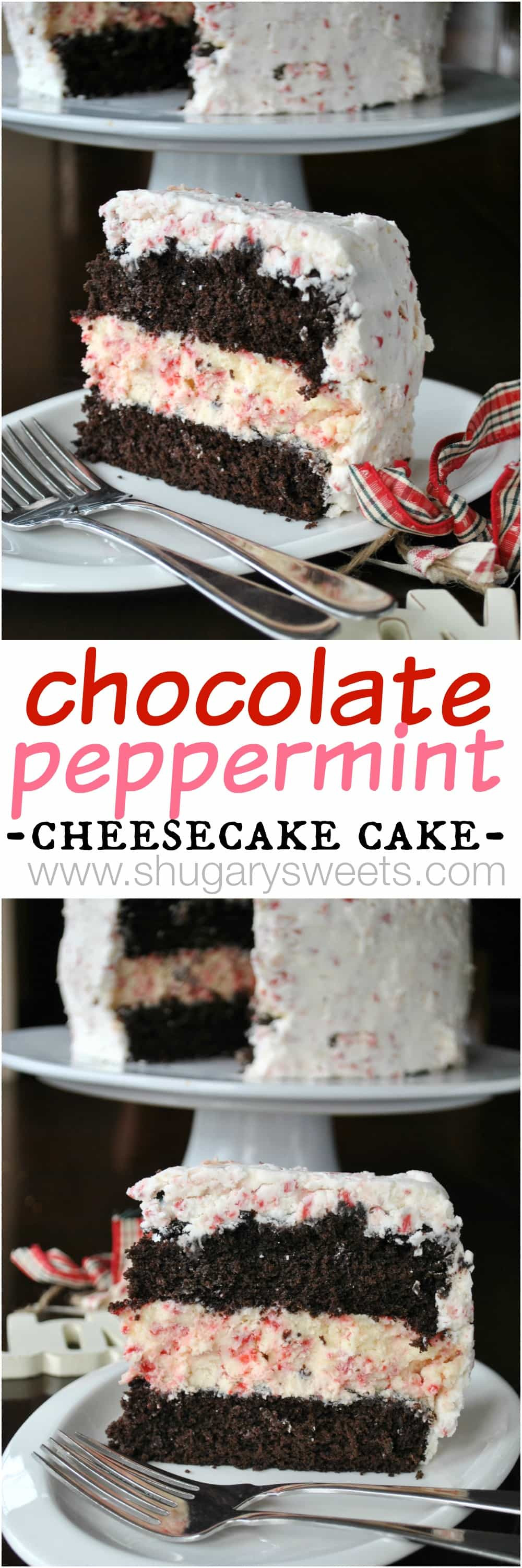 Chocolate Peppermint Cake
 Chocolate Peppermint Cheesecake Cake Shugary Sweets