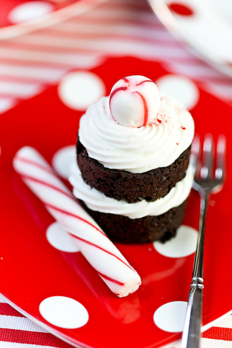 Chocolate Peppermint Cake
 Chocolate Peppermint Mini Party Cakes