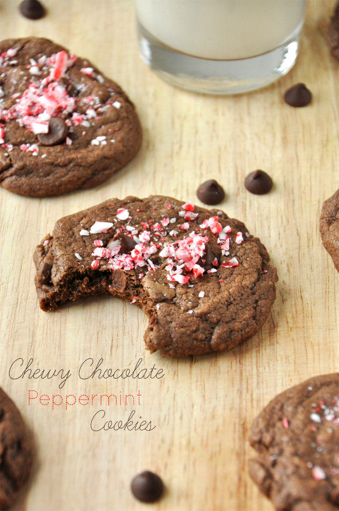 Chocolate Peppermint Cookies
 chewy double chocolate peppermint cookies