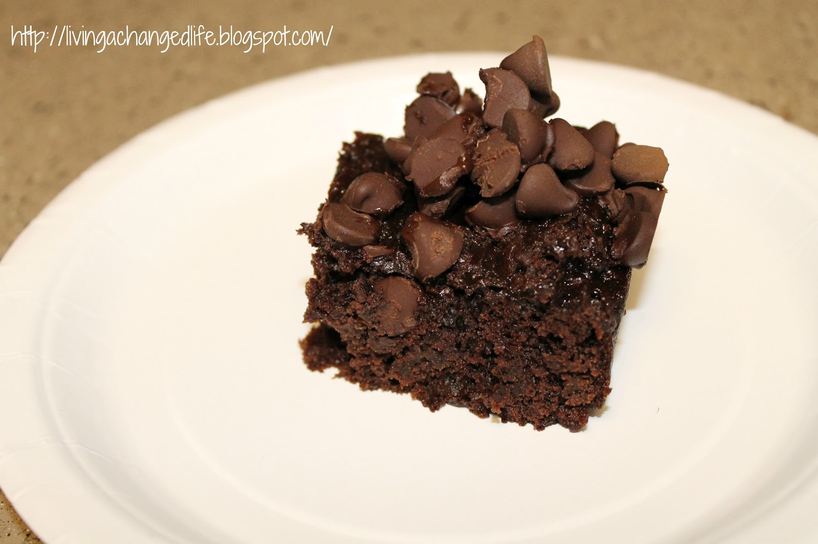 Chocolate Pudding Cake
 Living a Changed Life Recipe Review Chocolate Pudding Cake