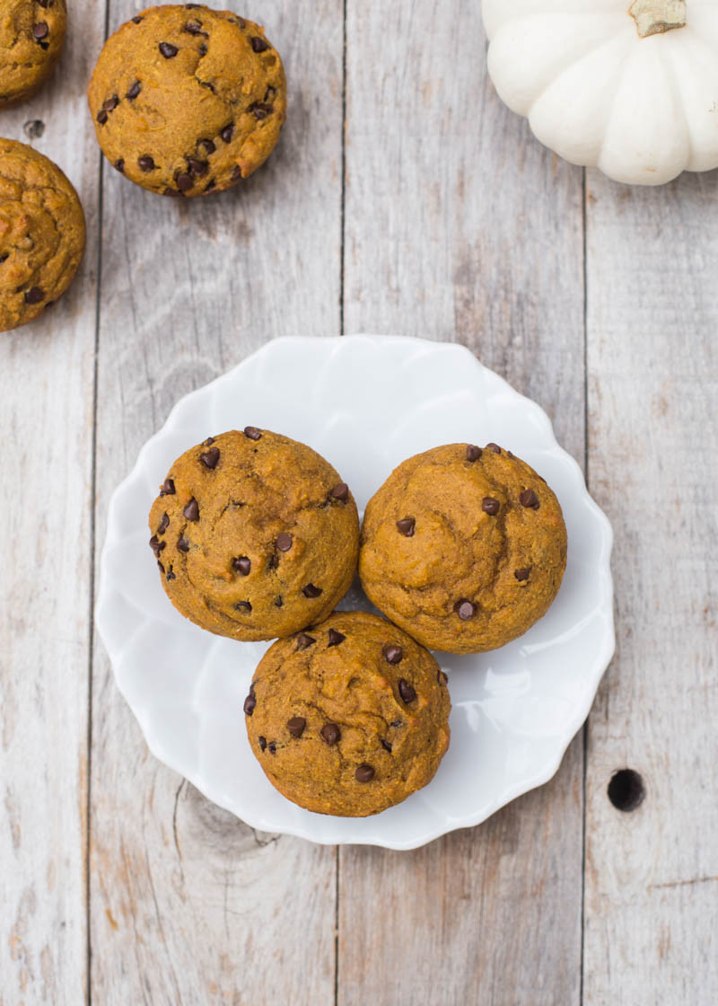 Chocolate Pumpkin Muffins
 Healthy Kodiak Cakes Pumpkin Chocolate Chip Muffins Boys