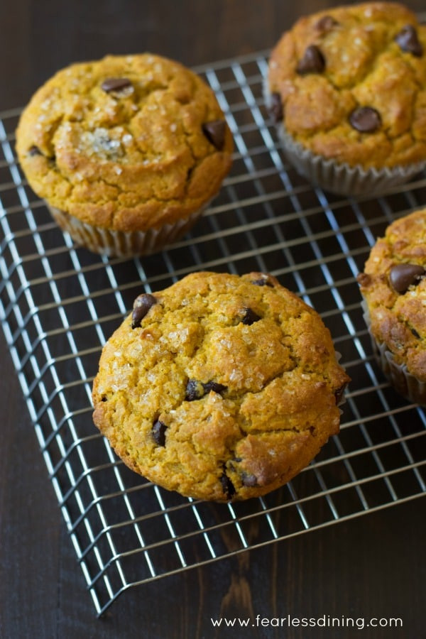 Chocolate Pumpkin Muffins
 light pumpkin chocolate chip muffins