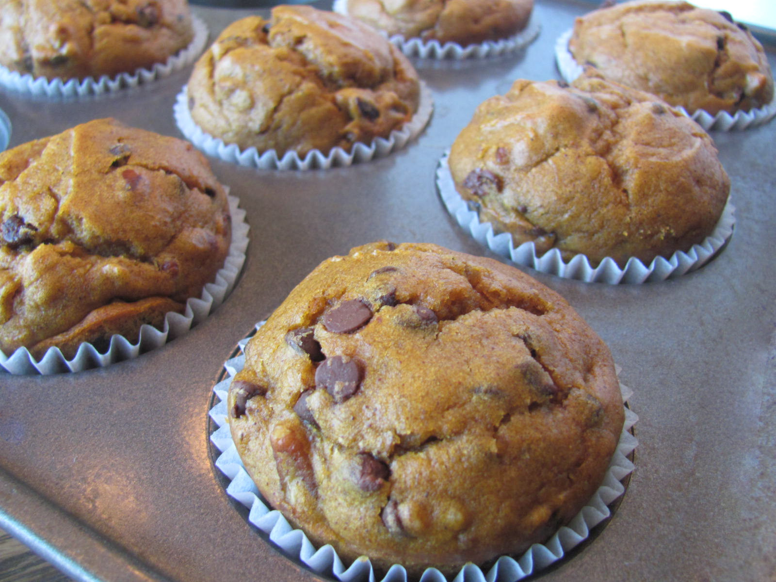 Chocolate Pumpkin Muffins
 Sprinkle Some Sunshine pumpkin chocolate chip muffin party