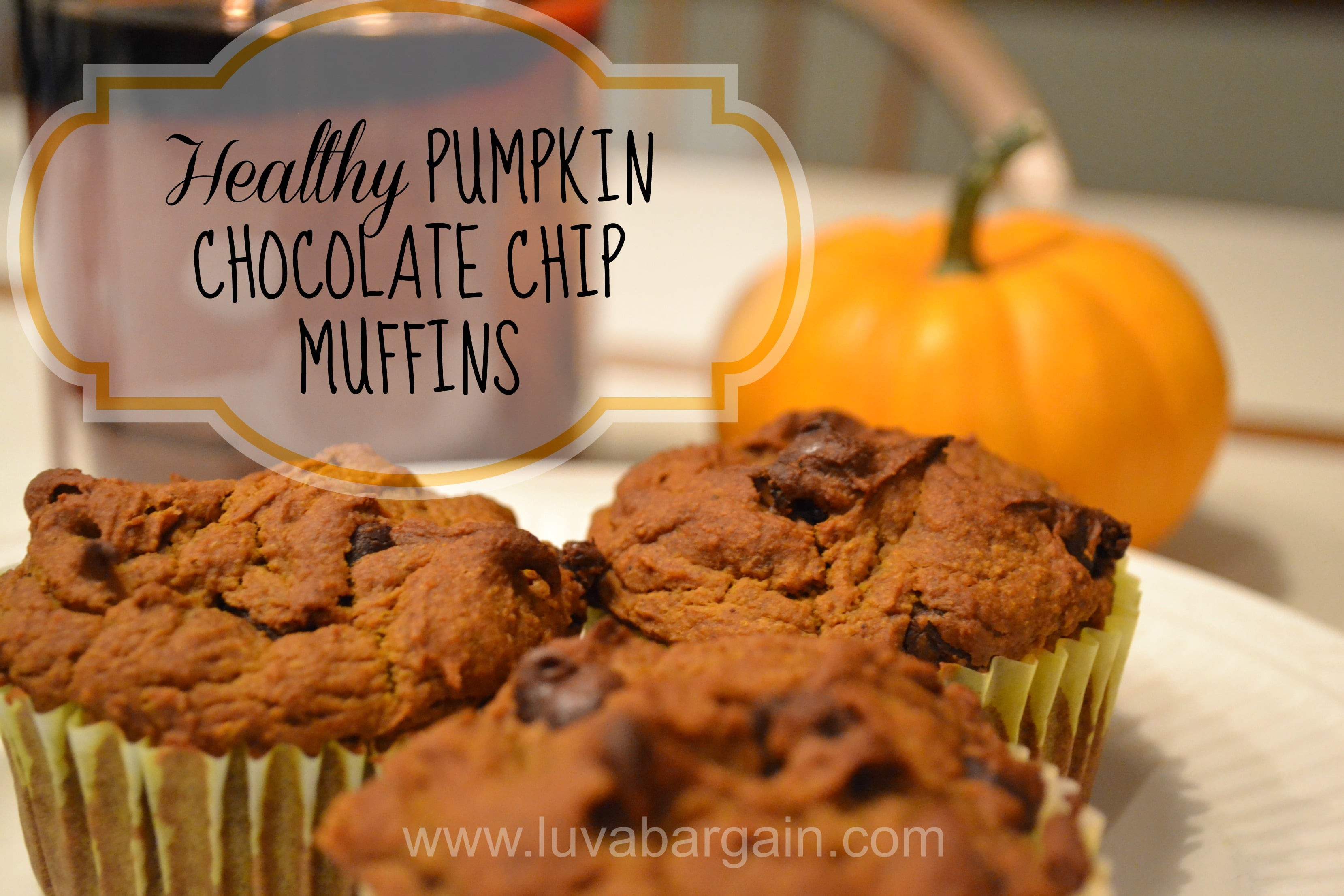 Chocolate Pumpkin Muffins
 Healthy Pumpkin Chocolate Chip Muffins