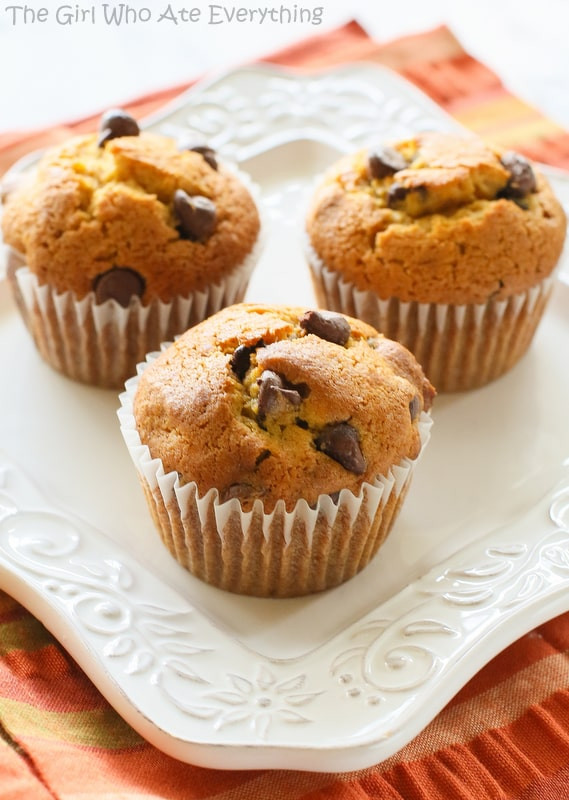 Chocolate Pumpkin Muffins
 Pumpkin Chocolate Chip Muffins